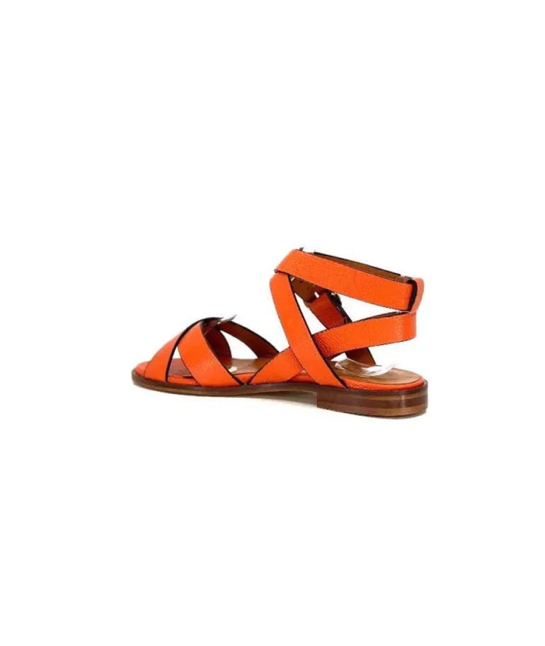 Ivoire 9823 Lv10 Orange